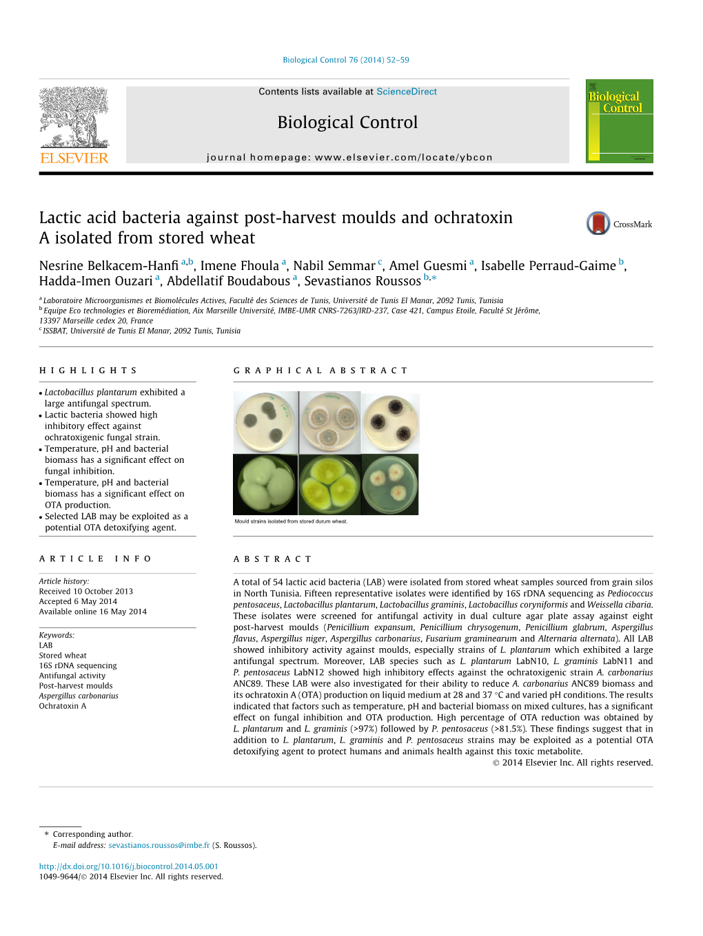 Lactic Acid Bacteria Against Post-Harvest Moulds and Ochratoxin a Isolated from Stored Wheat