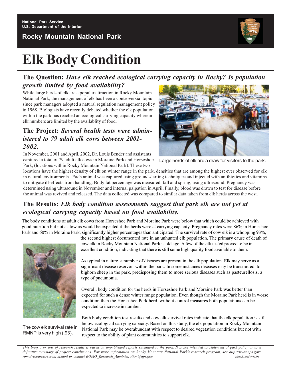 Elk Body Condition