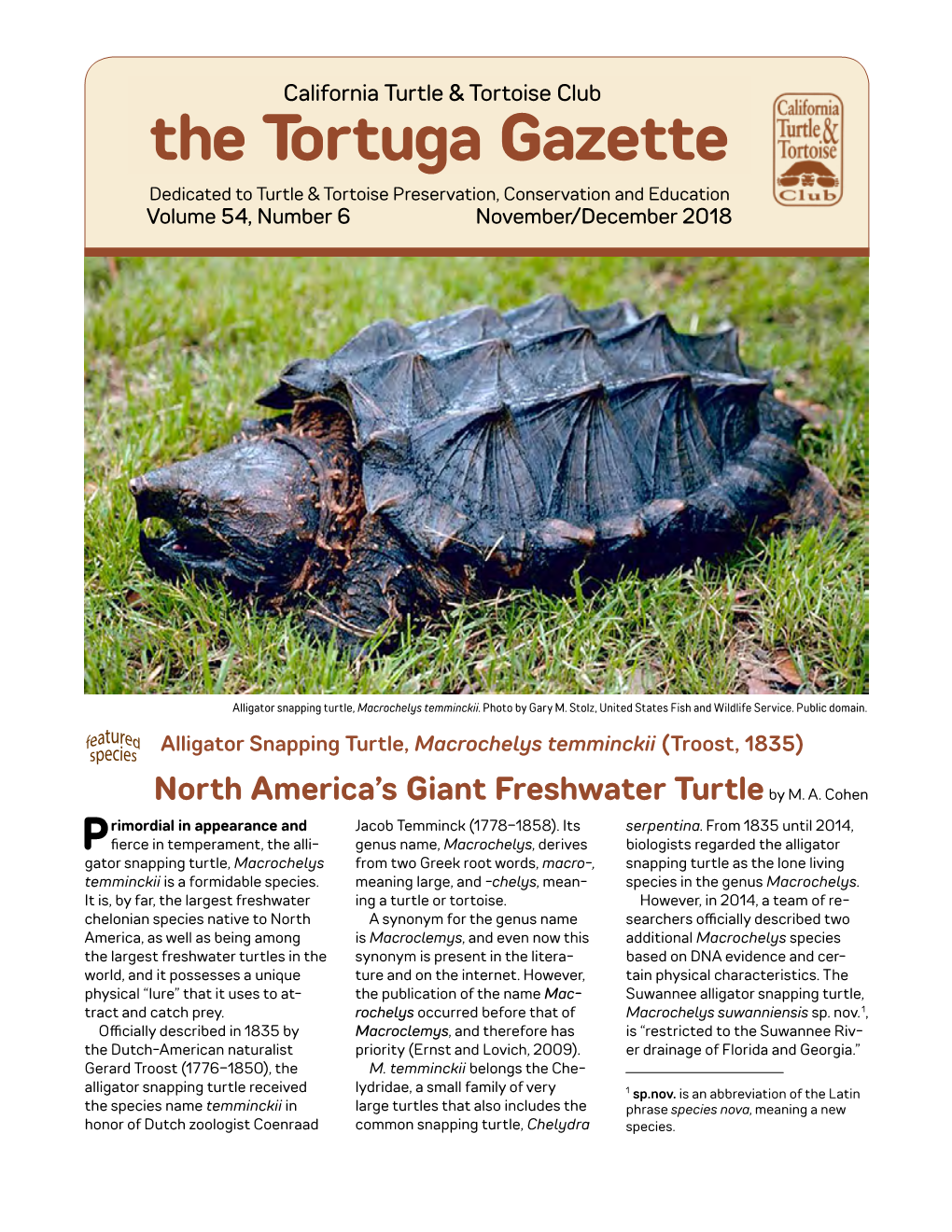 The Tortuga Gazette Dedicated to Turtle & Tortoise Preservation, Conservation and Education Volume 54, Number 6 November/December 2018