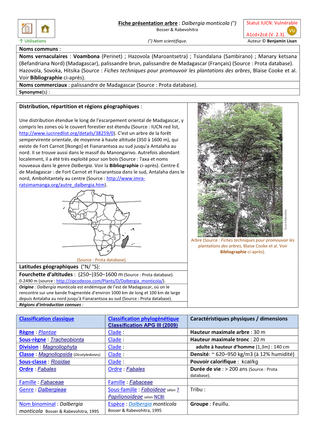 Dalbergia Monticola (°) Statut IUCN: Vulnérable Bosser & Rabevohitra A1cd+2Cd (V