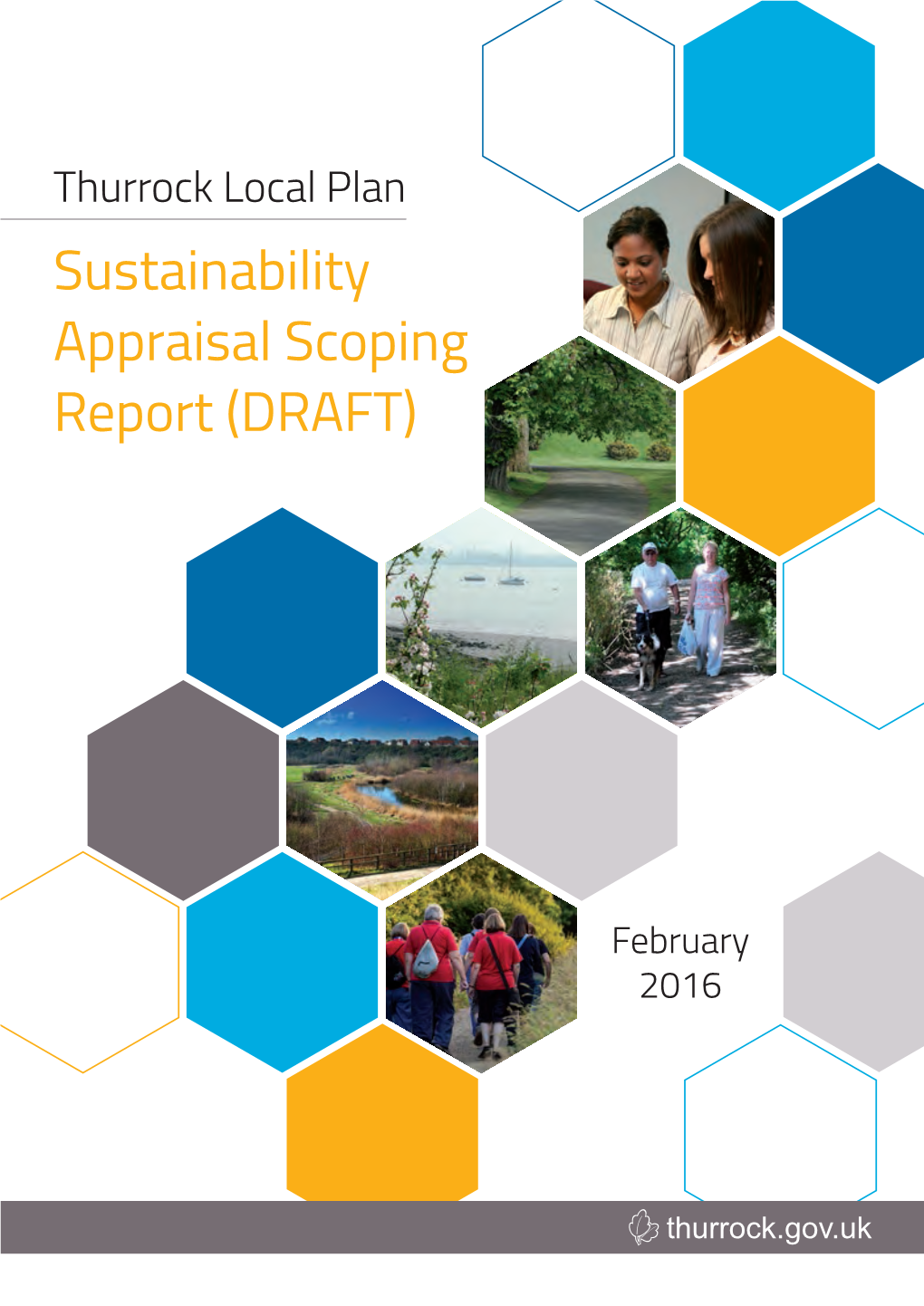 Sustainability Appraisal Scoping Report (DRAFT)