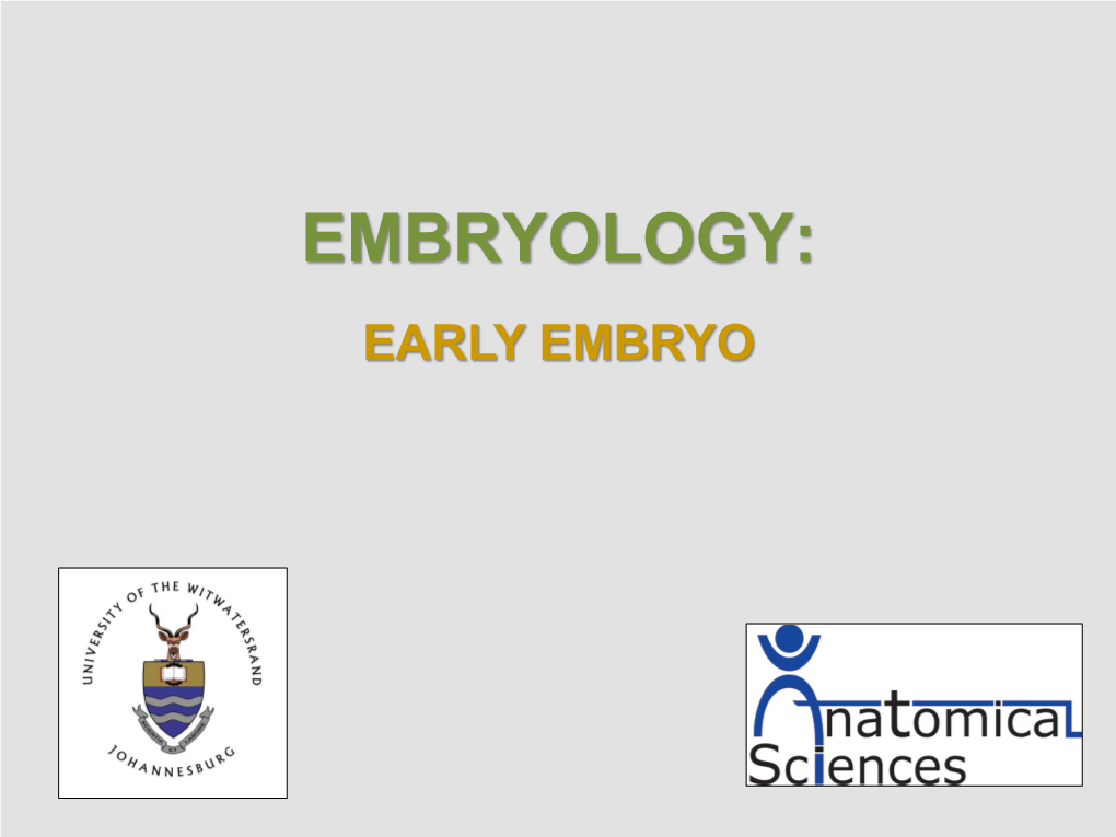 EMBRYOLOGY: EARLY EMBRYO This Picture Shows the Three (3) Phases of Fertilization