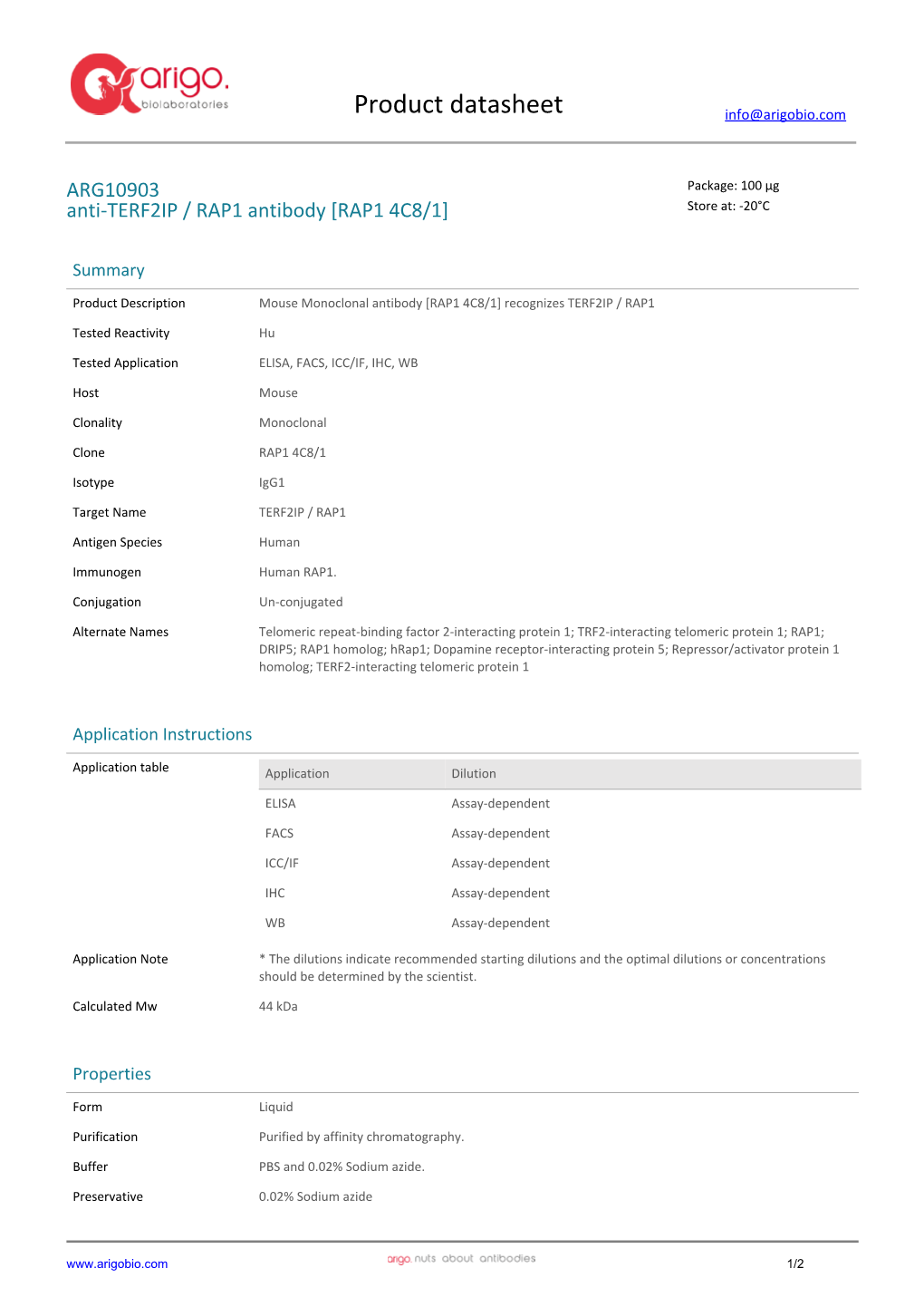 Anti-TERF2IP / RAP1 Antibody [RAP1 4C8/1] (ARG10903)