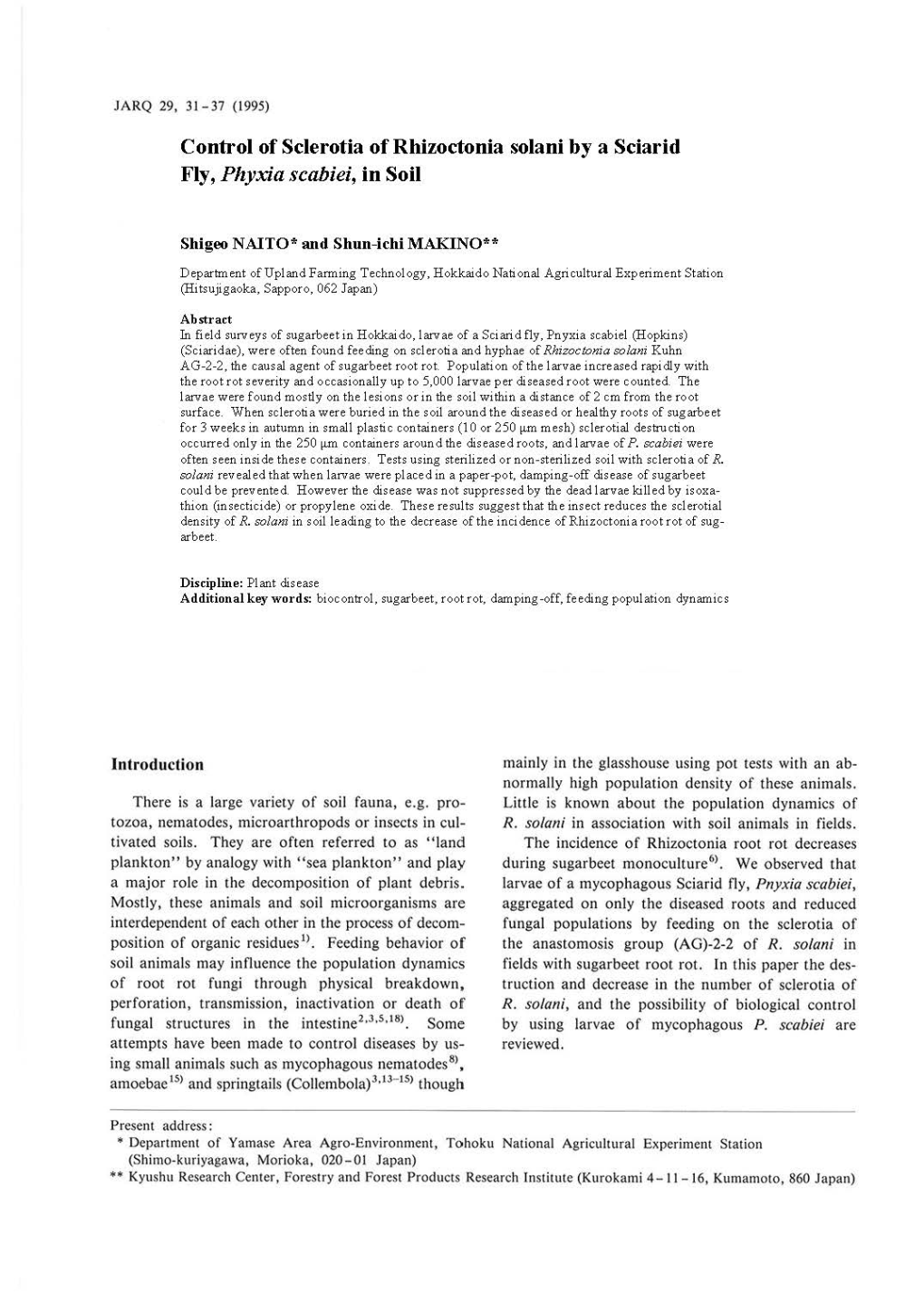 Control of Sclerotia of Rhizoctonia Solani by a Sciarid Fly, Phyxi,A Scabiei, in Soil