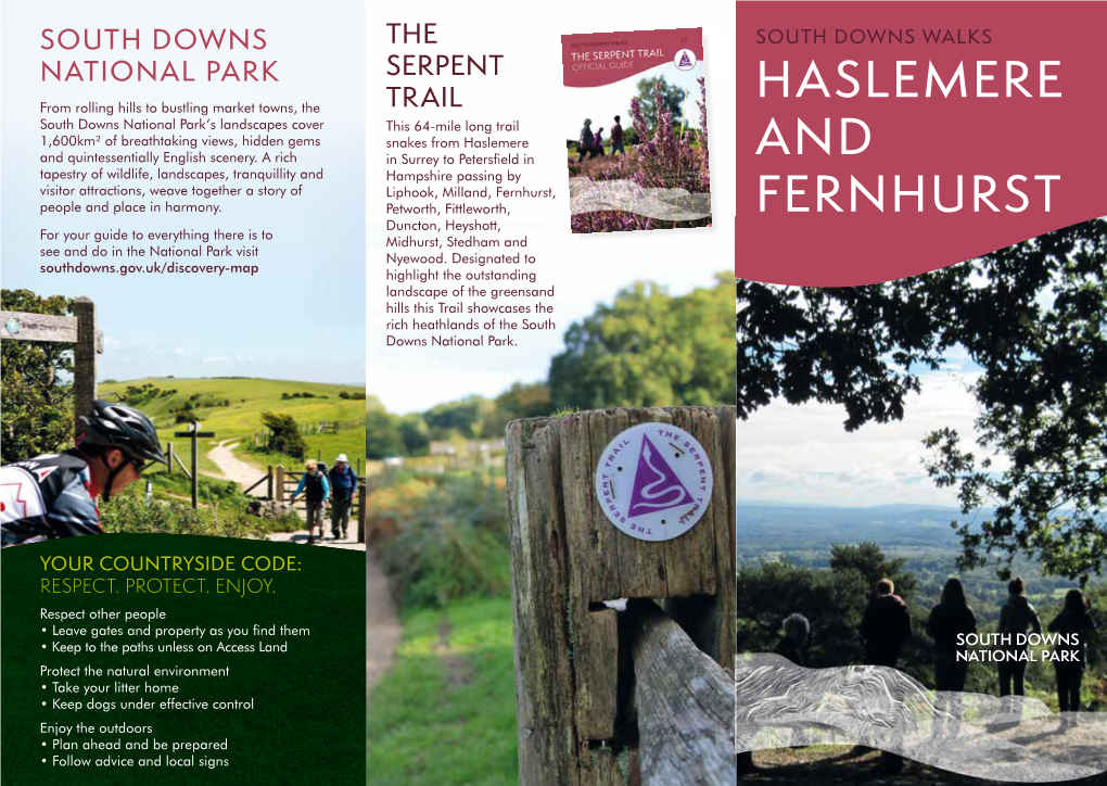 South Downs Walks Haslemere and Fernhurst