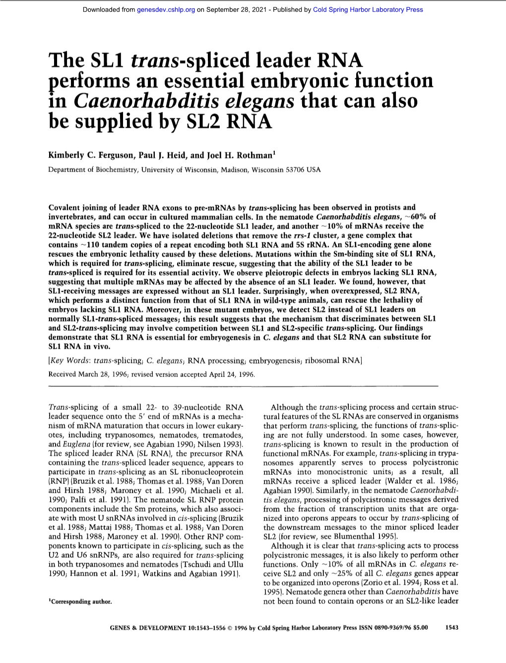 SL1 Trans-Soliced Leader RNA Performs an Essintial Embrvonic Function in Caenorhabditis Elegans That Can Also Be Supplied by SL2 RNA