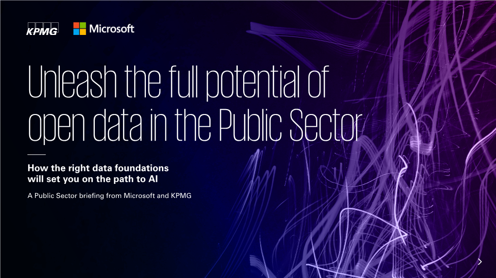 Unleash the Full Potential of Open Data in the Public Sector