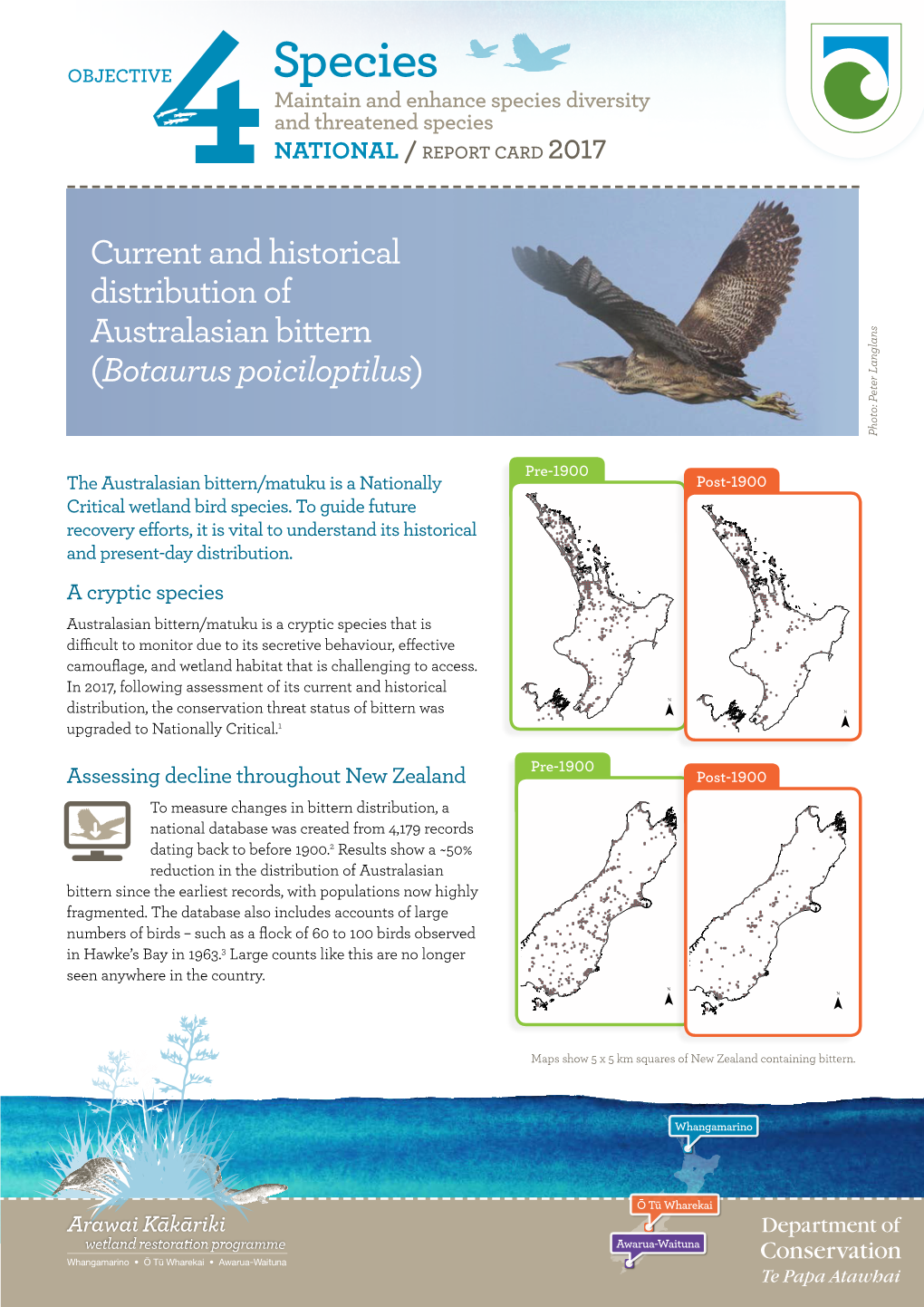 Arawai Kākāriki Australasian Bittern Report Card