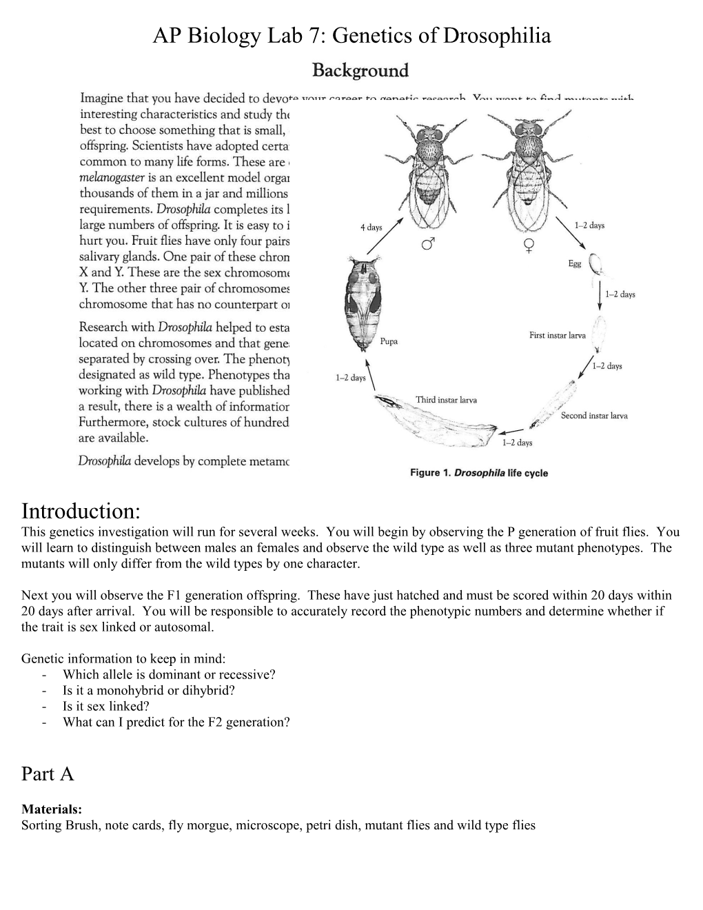 AP Biology Lab 7: Genetics of Drosophilia