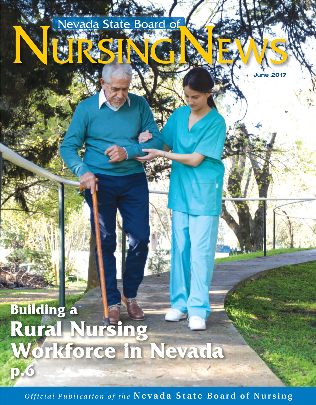 Rural Nursing Workforce in Nevada P.6