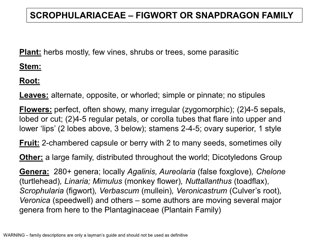 Figwort Family) Examples of a Few Genera (A-M)