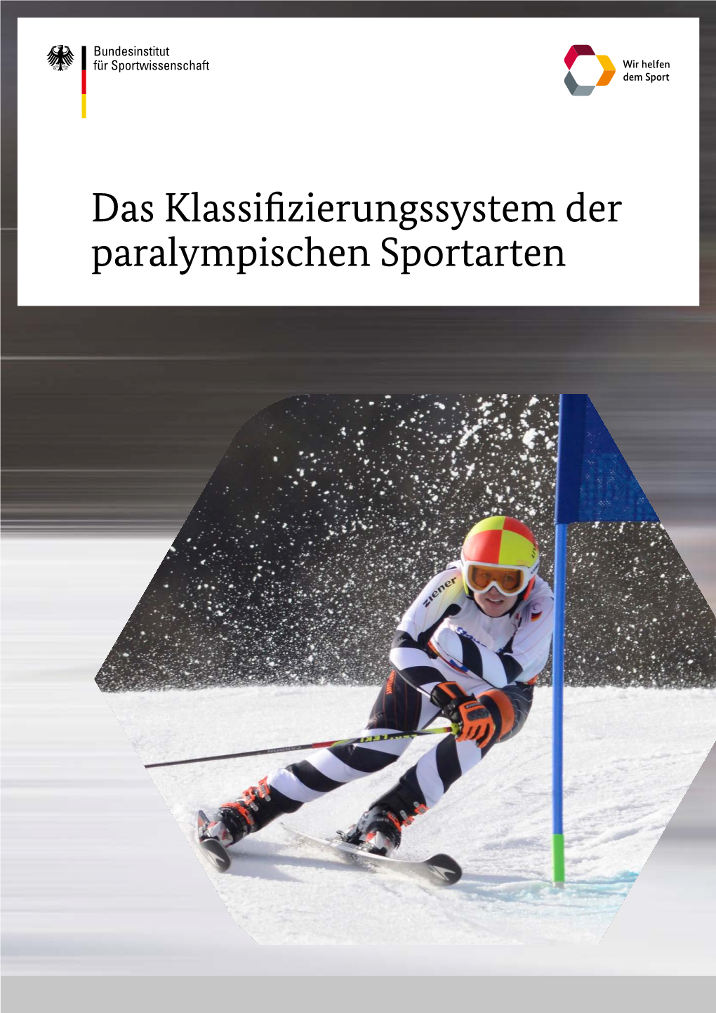 Das Klassifizierungssystem Der Paralympischen Sportarten