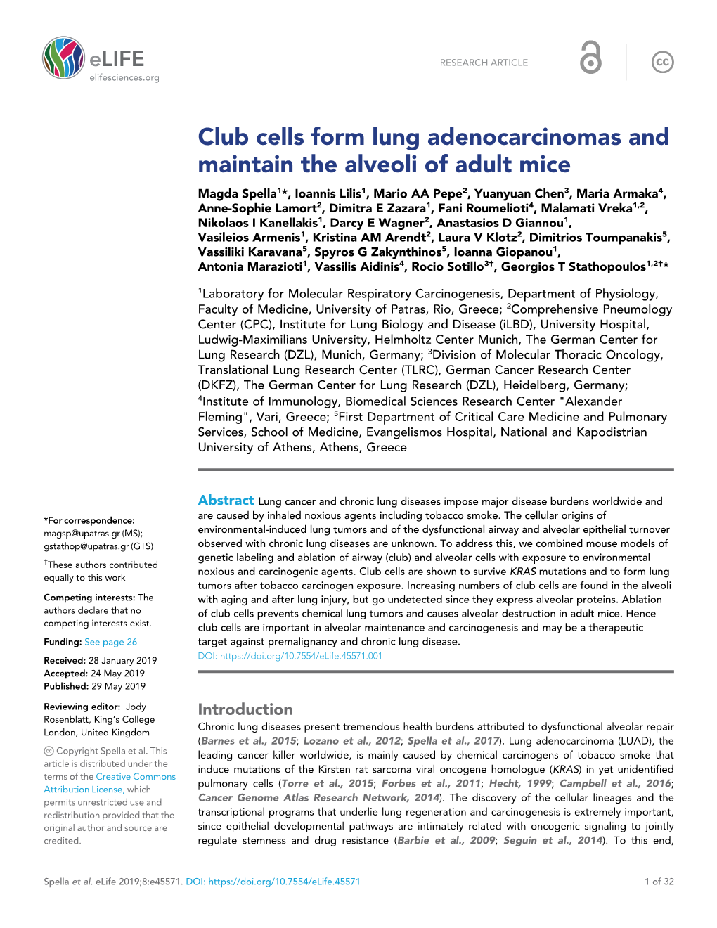 Club Cells Form Lung Adenocarcinomas and Maintain the Alveoli of Adult Mice