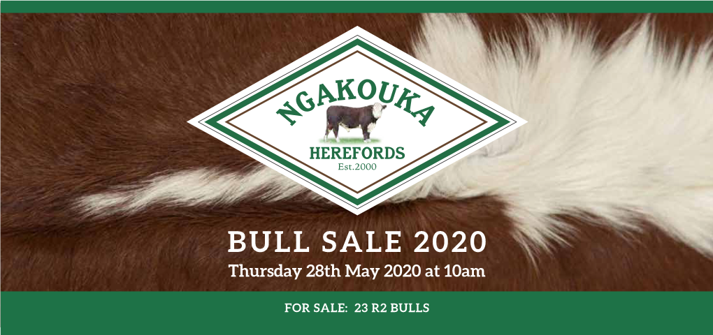 BULL SALE 2020 Thursday 28Th May 2020 at 10Am