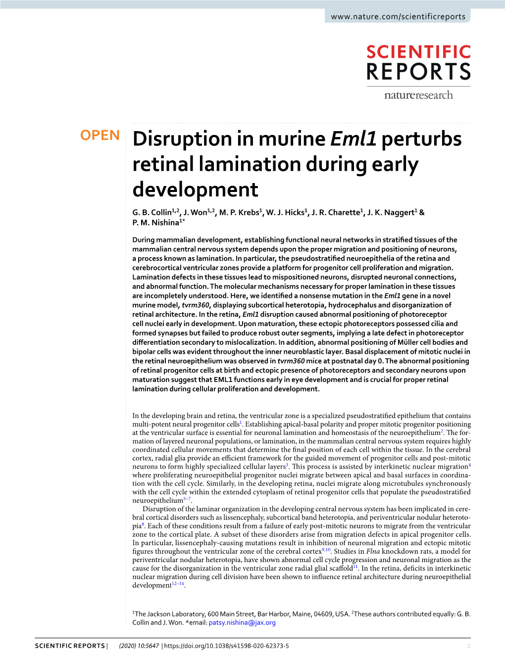 Disruption in Murine Eml1 Perturbs Retinal Lamination During Early Development G