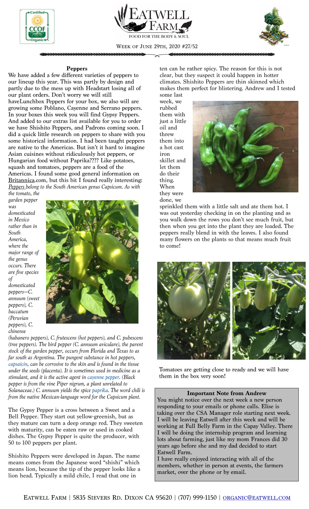 Eatwell Farm News 20200629.Pages