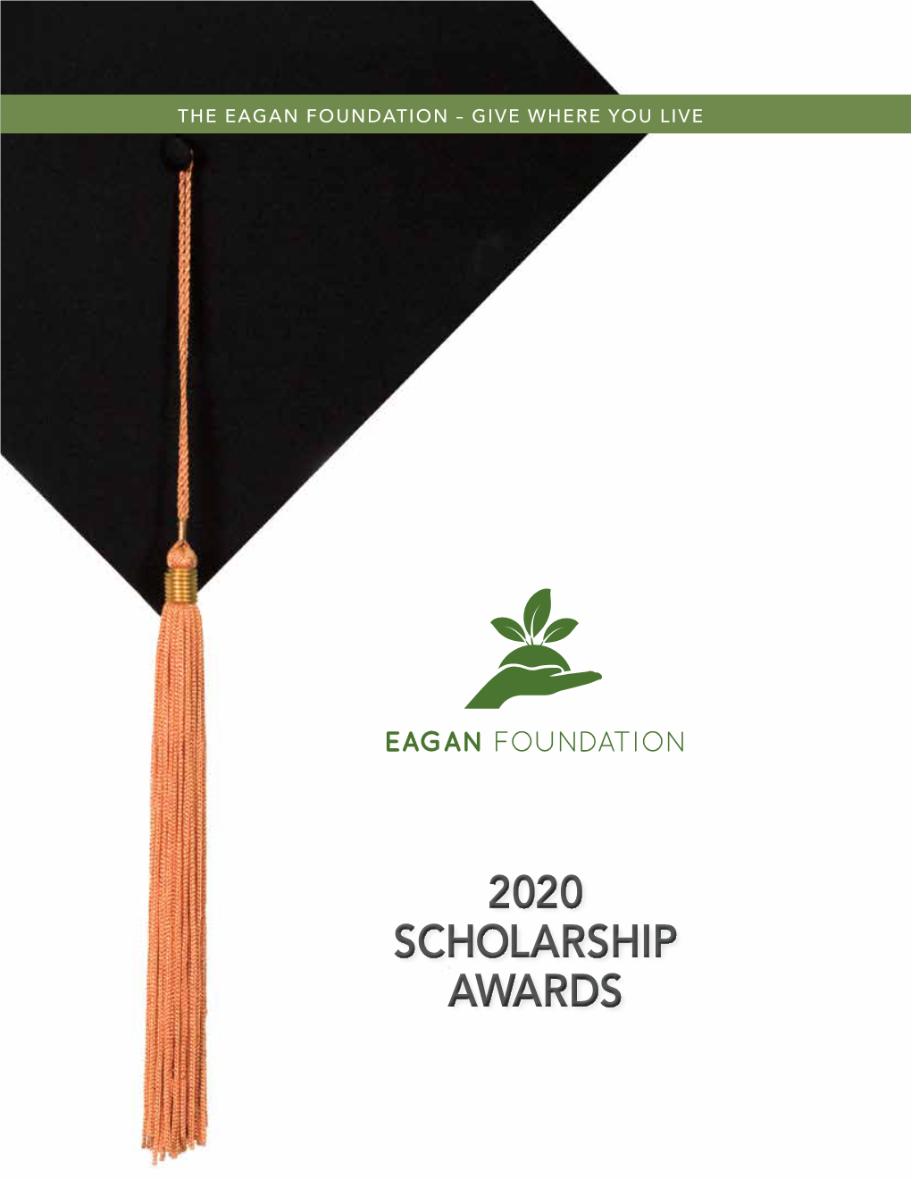 2020 Scholarship Awards Eagan Foundation