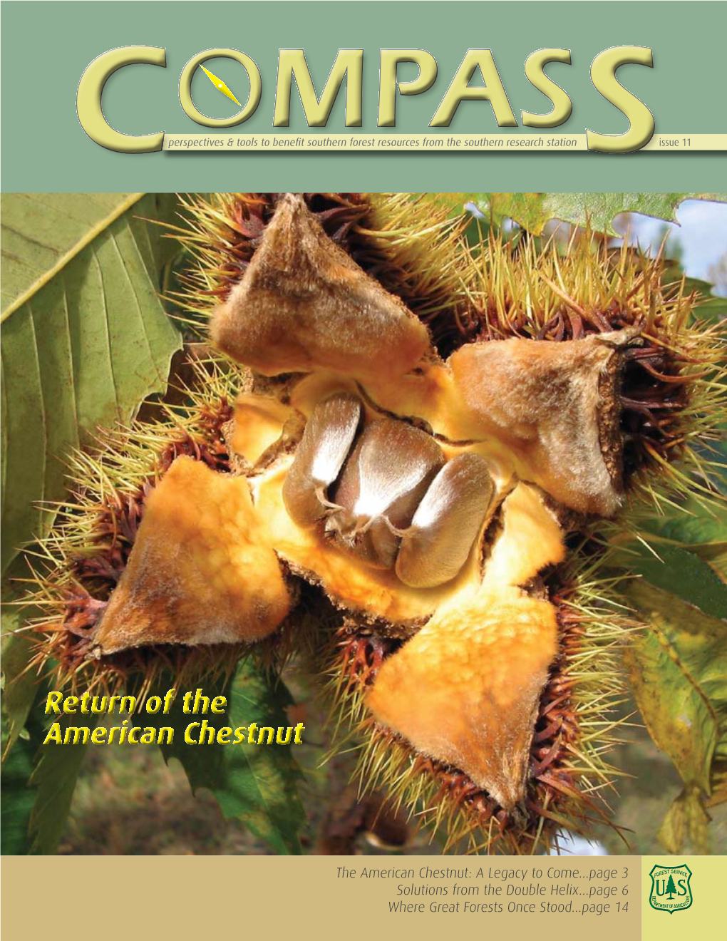 Return of the American Chestnut Return of the American Chestnut