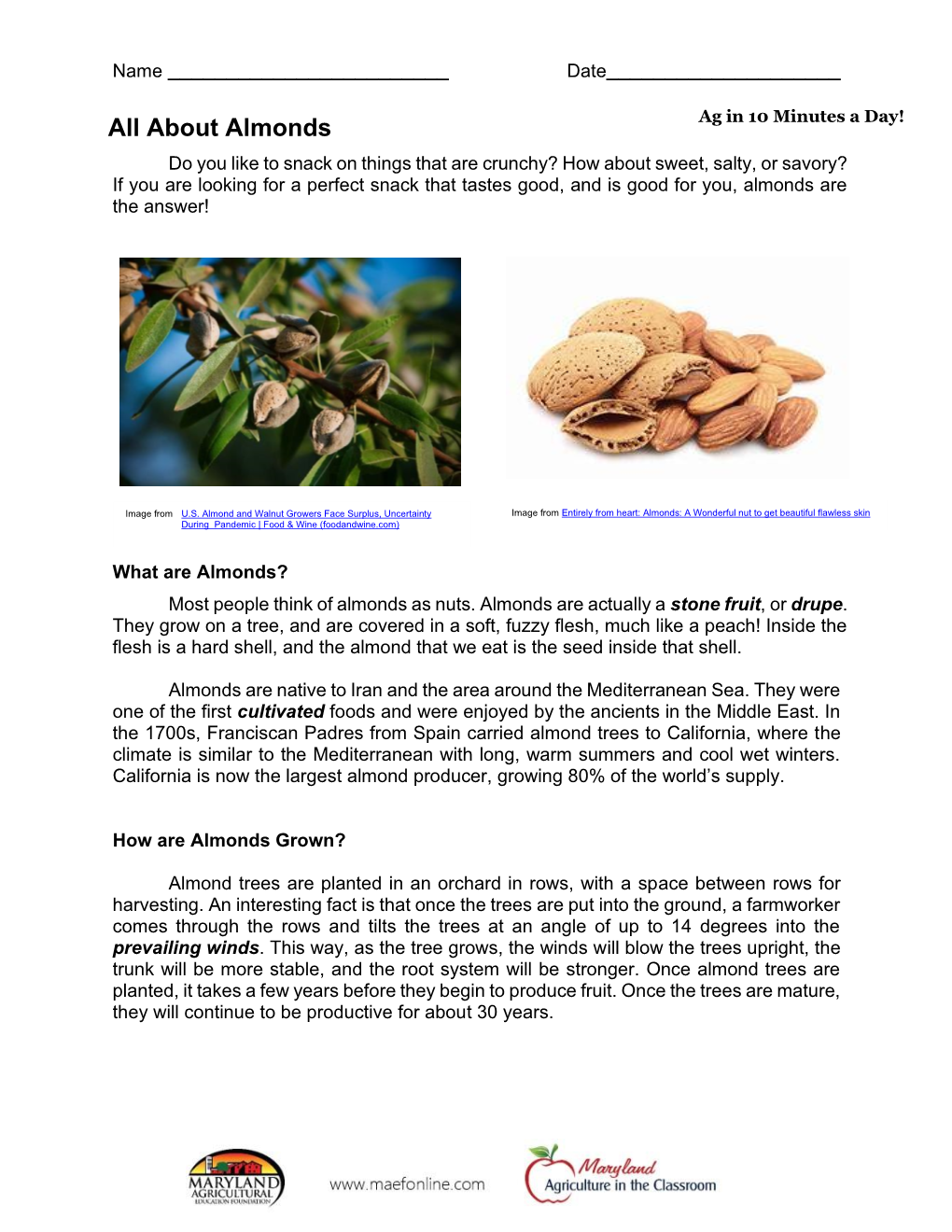 All About Almonds