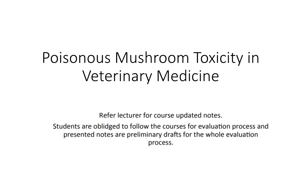 Poisonous Mushroom Toxicity in Veterinary Medicine General Information