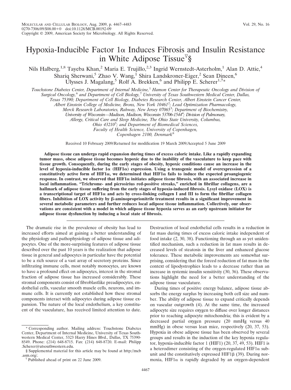 Hypoxia-Inducible Factor 1 Induces Fibrosis and Insulin Resistance in White Adipose Tissue §