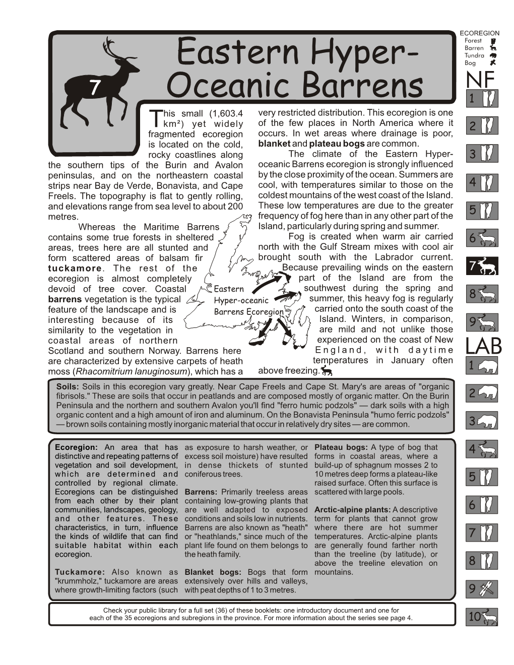 Eastern Hyper-Oceanic Barrens Ecoregion Scrub Spruce Alpine Heath Empetrum Heath