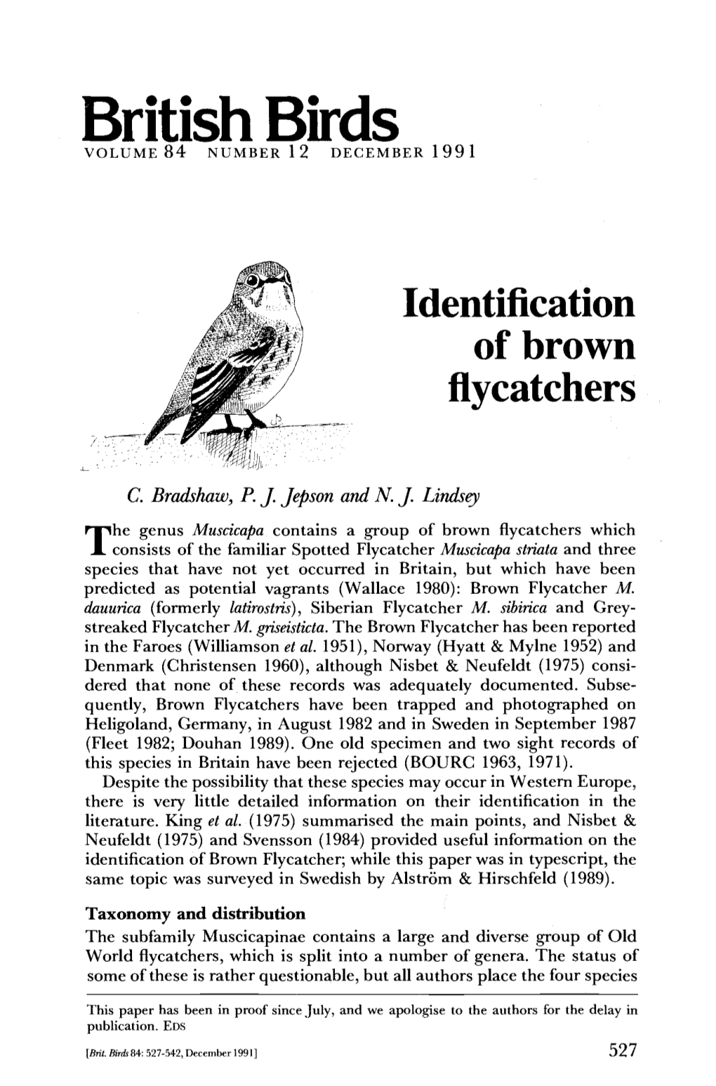 Identification of Brown Flycatchers