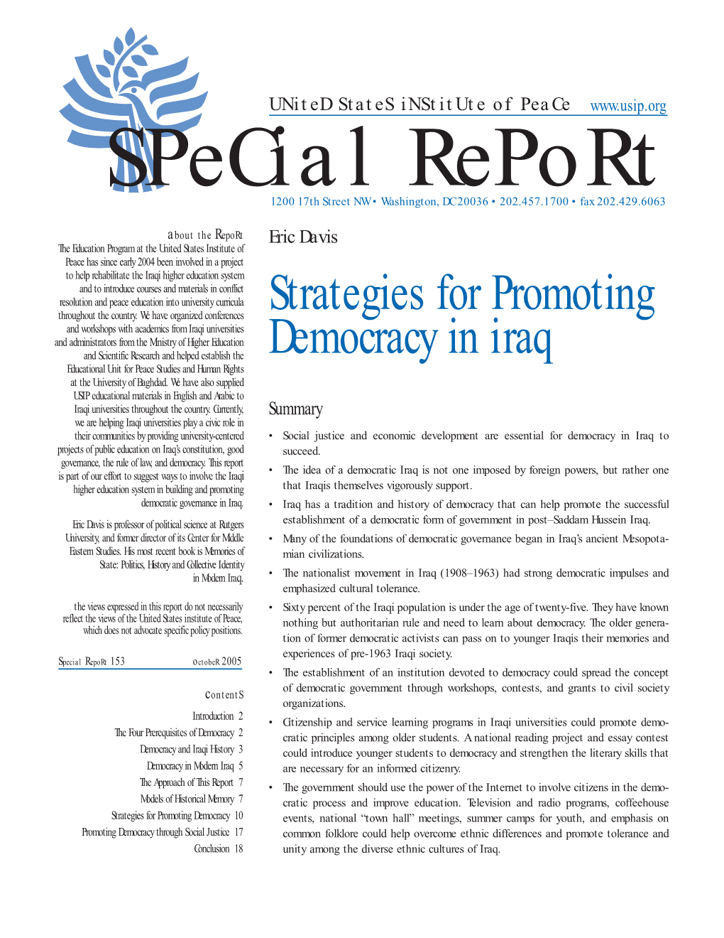 Strategies for Promoting Democracy in Iraq