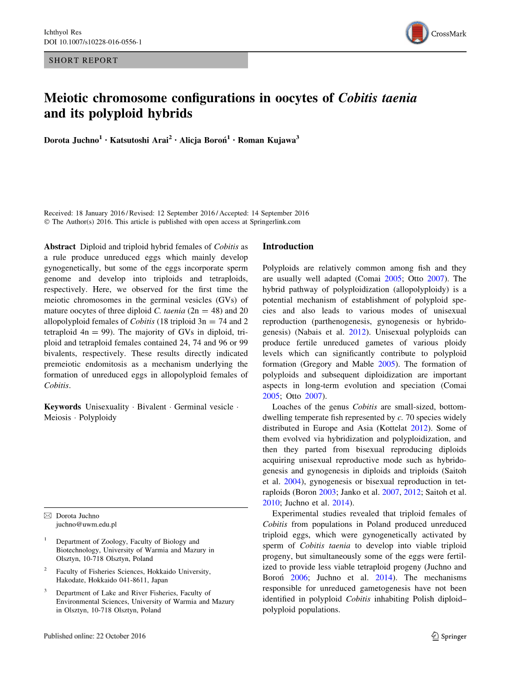 Meiotic Chromosome Configurations in Oocytes of Cobitis Taenia and Its