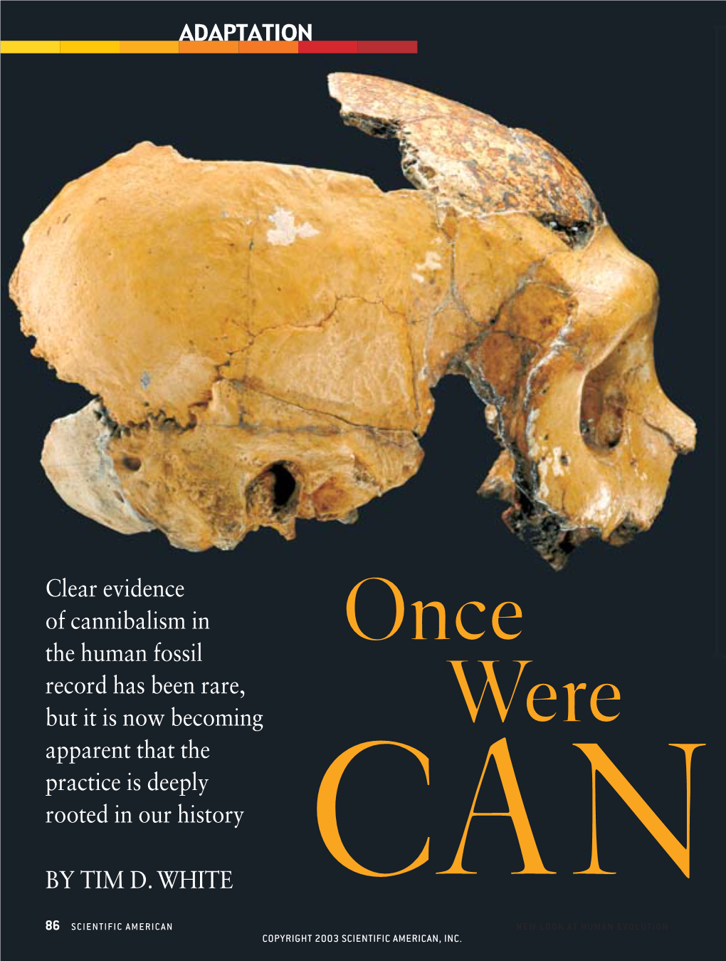 Clear Evidence of Cannibalism in the Human Fossil Record Has Been Rare