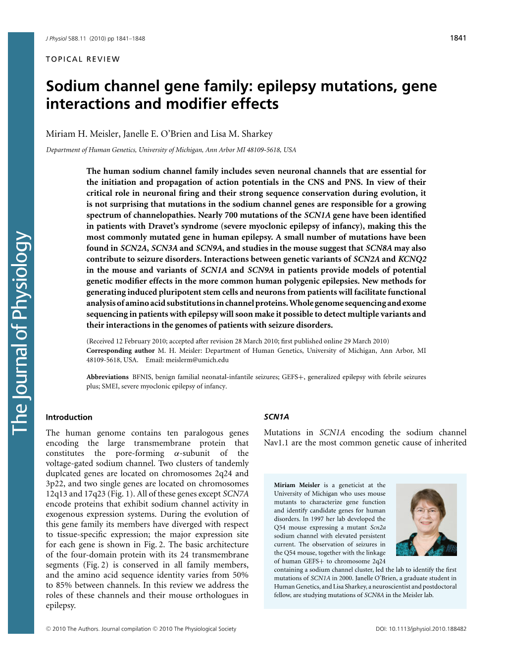 Sodium Channel Gene Family: Epilepsy Mutations, Gene Interactions and Modifier Effects
