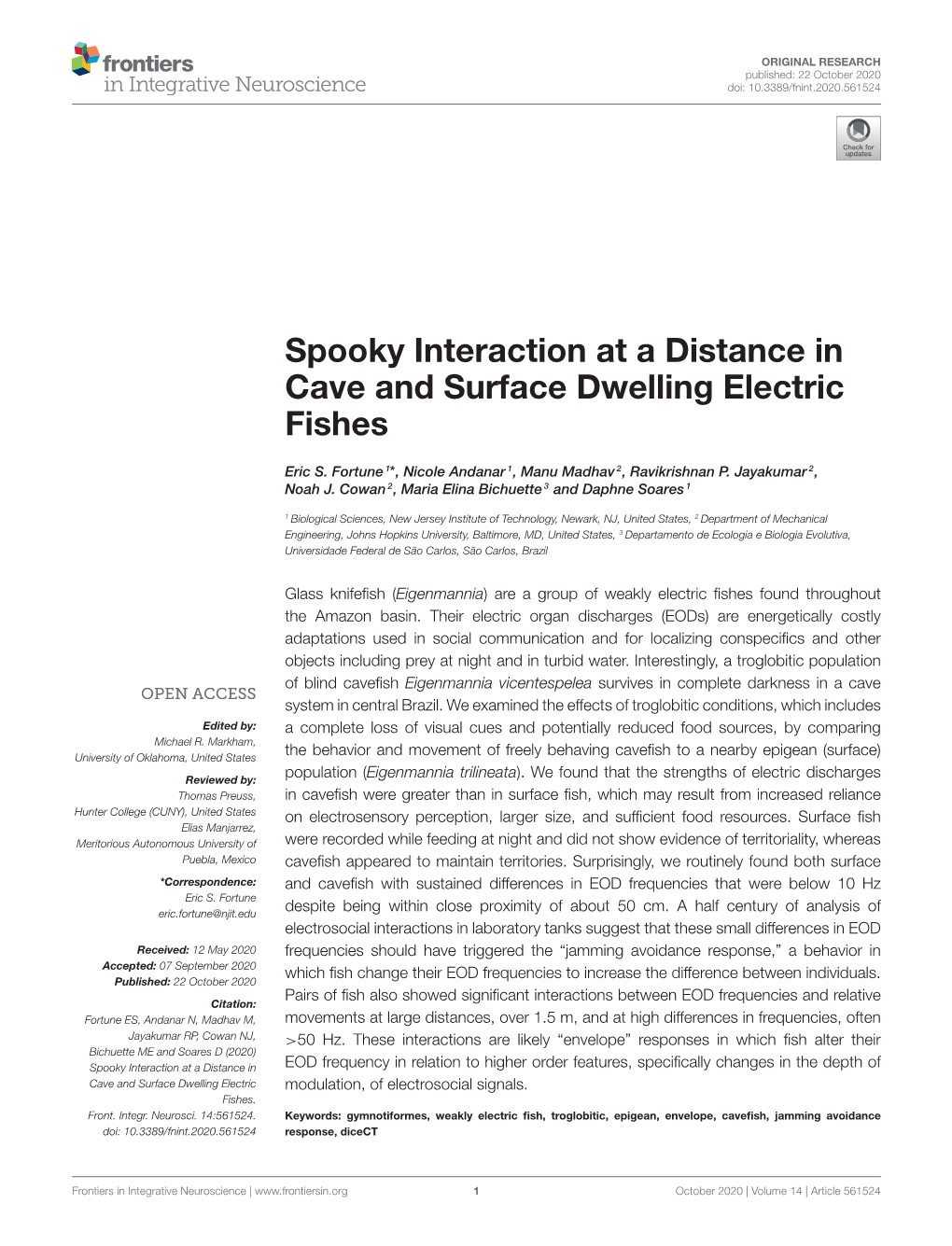 Spooky Interaction at a Distance in Cave and Surface Dwelling Electric Fishes