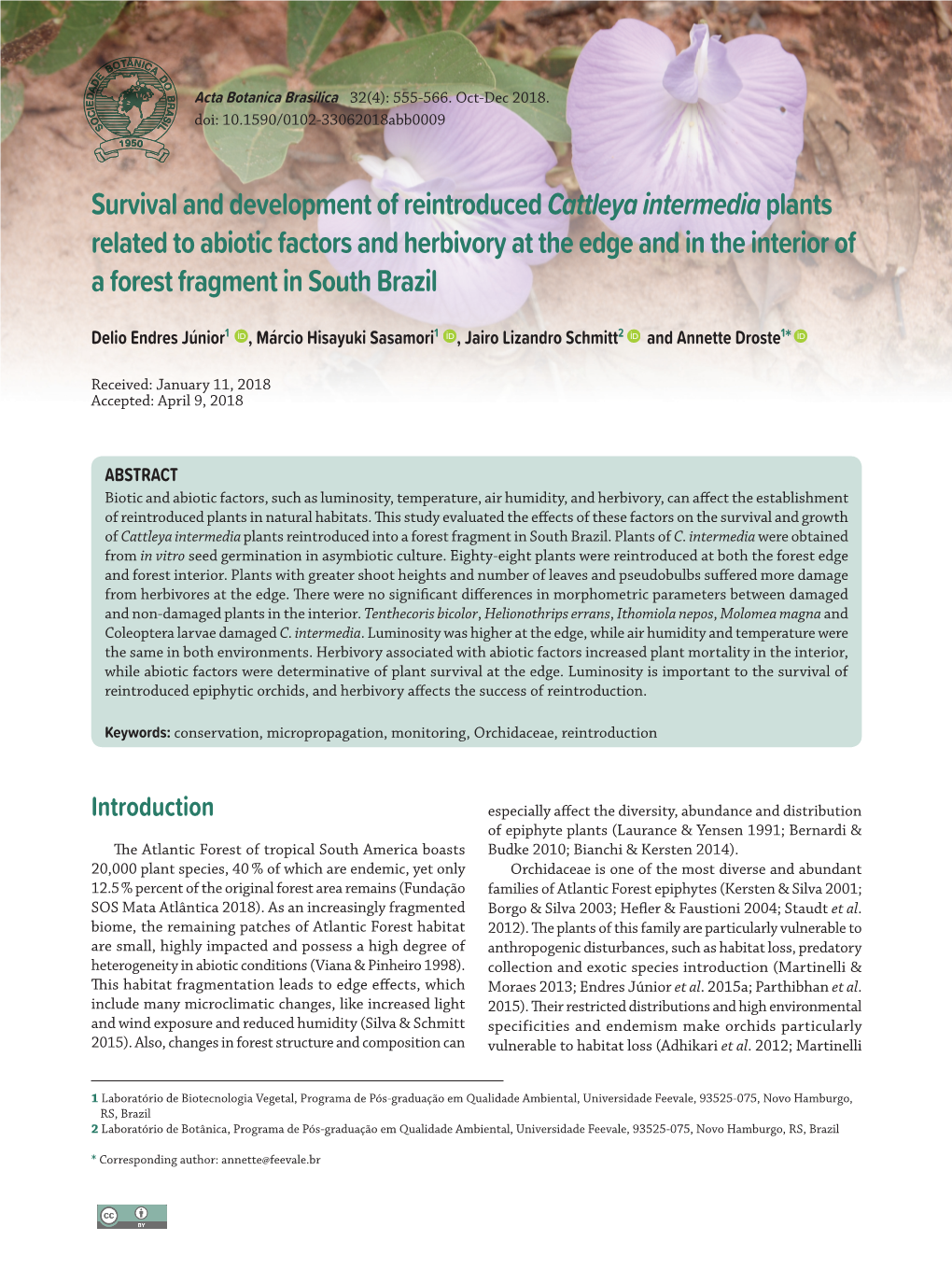 Survival and Development of Reintroduced Cattleya