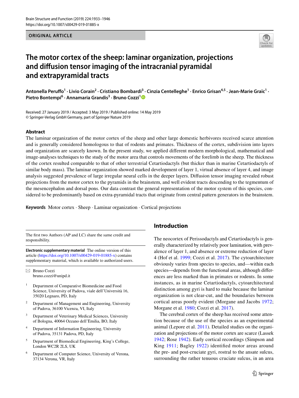 The Motor Cortex of the Sheep: Laminar Organization, Projections and Difusion Tensor Imaging of the Intracranial Pyramidal and Extrapyramidal Tracts