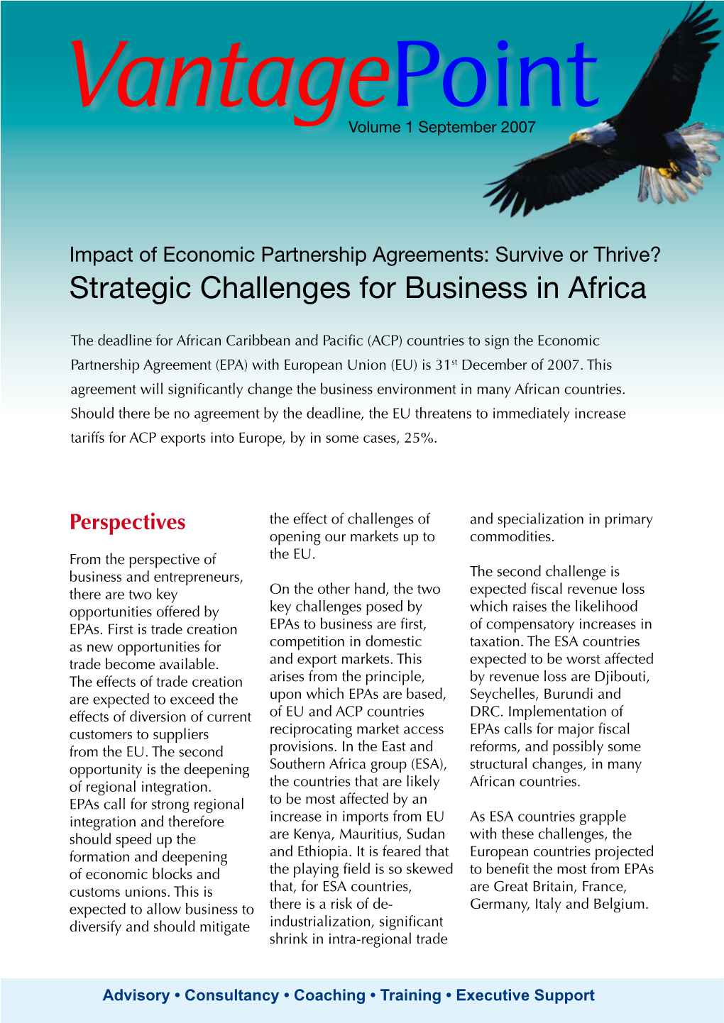 Strategic Challenges for Business in Africa