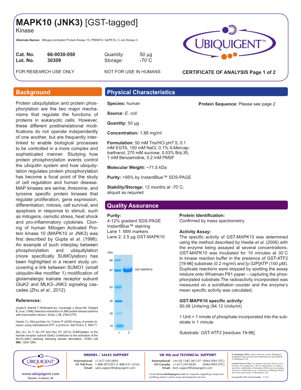 MAPK10 (JNK3) [GST-Tagged] Kinase