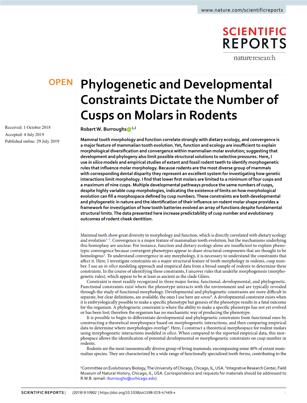 Phylogenetic and Developmental Constraints Dictate the Number of Cusps on Molars in Rodents Received: 1 October 2018 Robert W