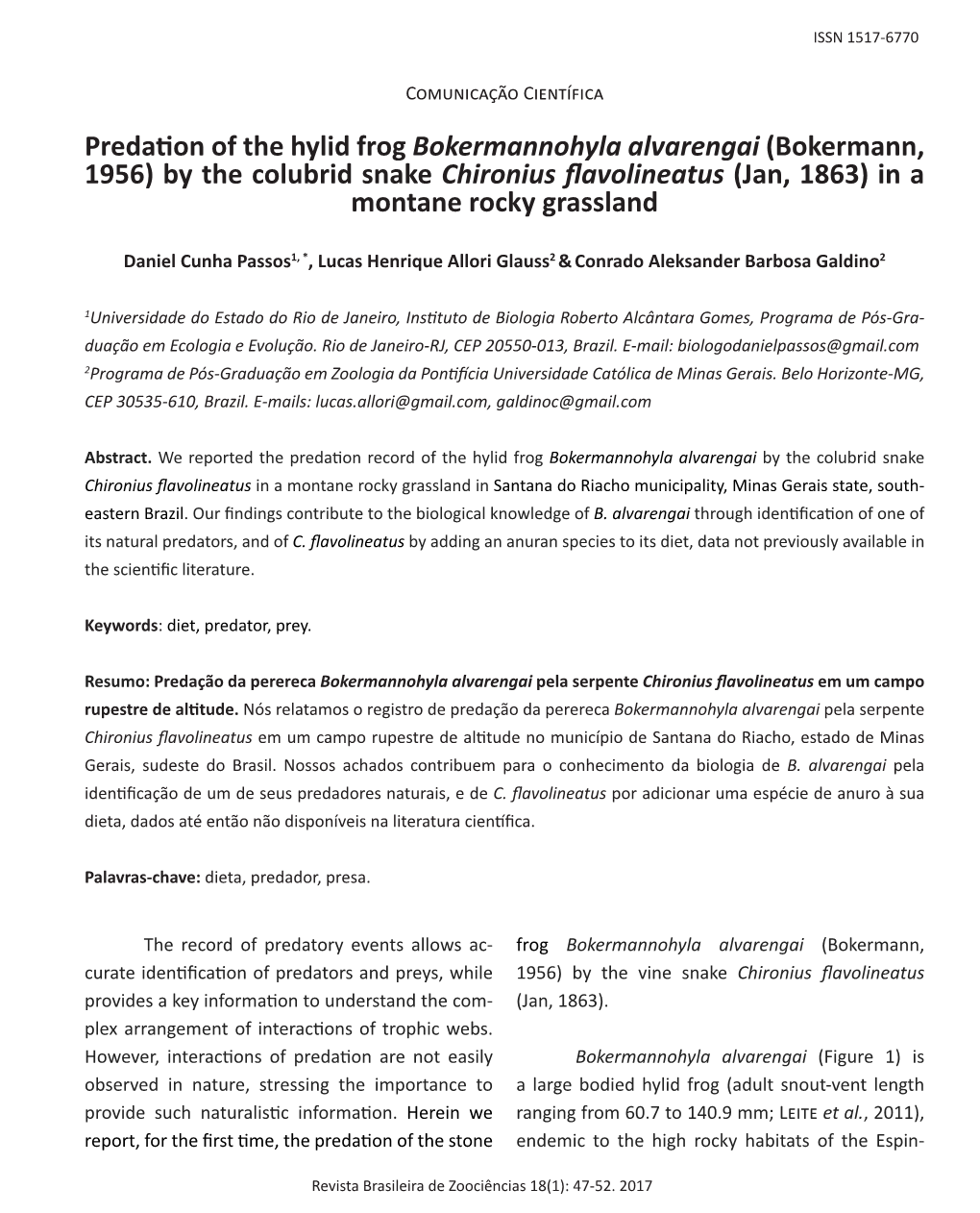 Predation of the Hylid Frog Bokermannohyla Alvarengai