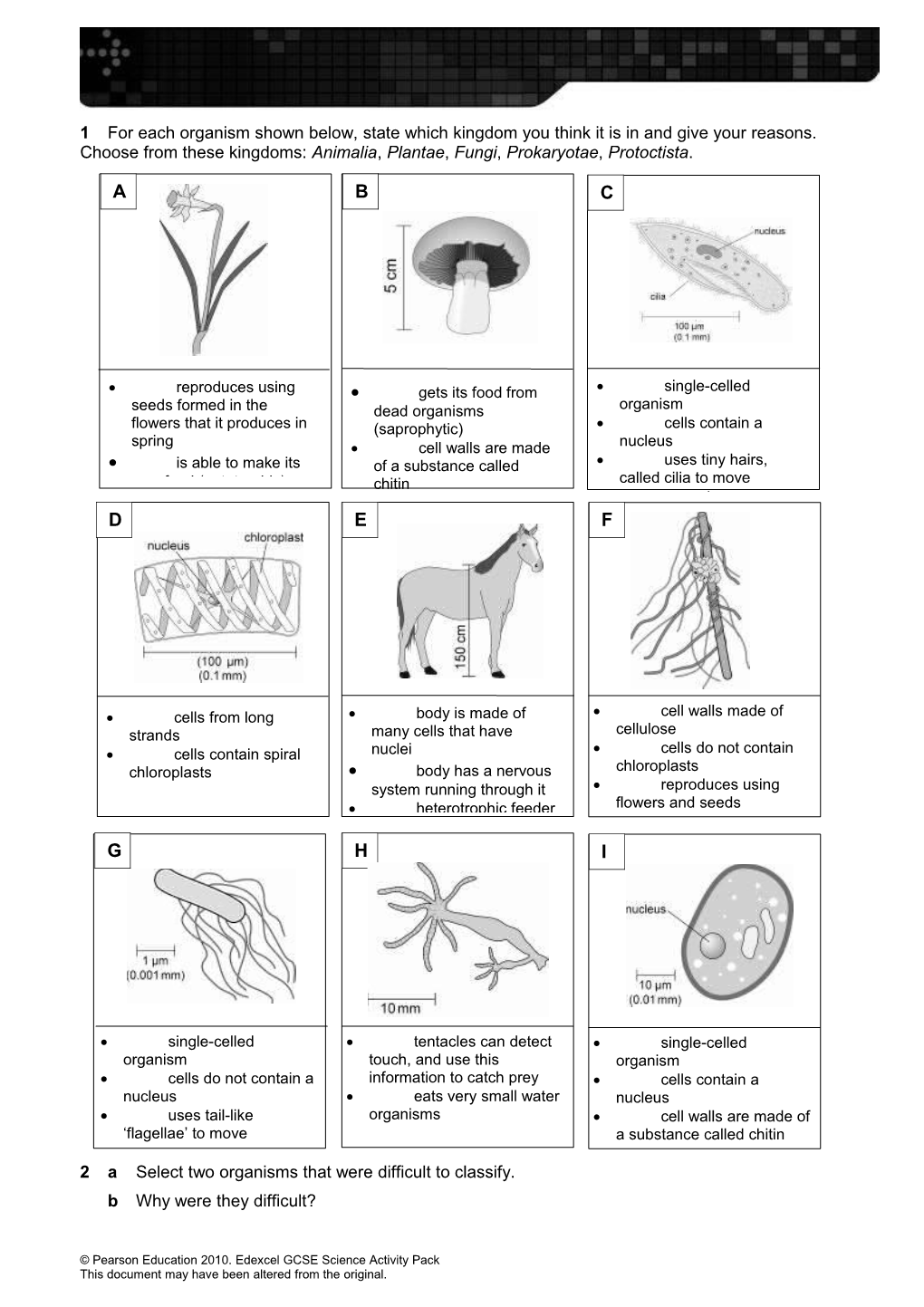 1 for Each Organism Shown Below, State Which Kingdom You Think It Is in and Give Your Reasons