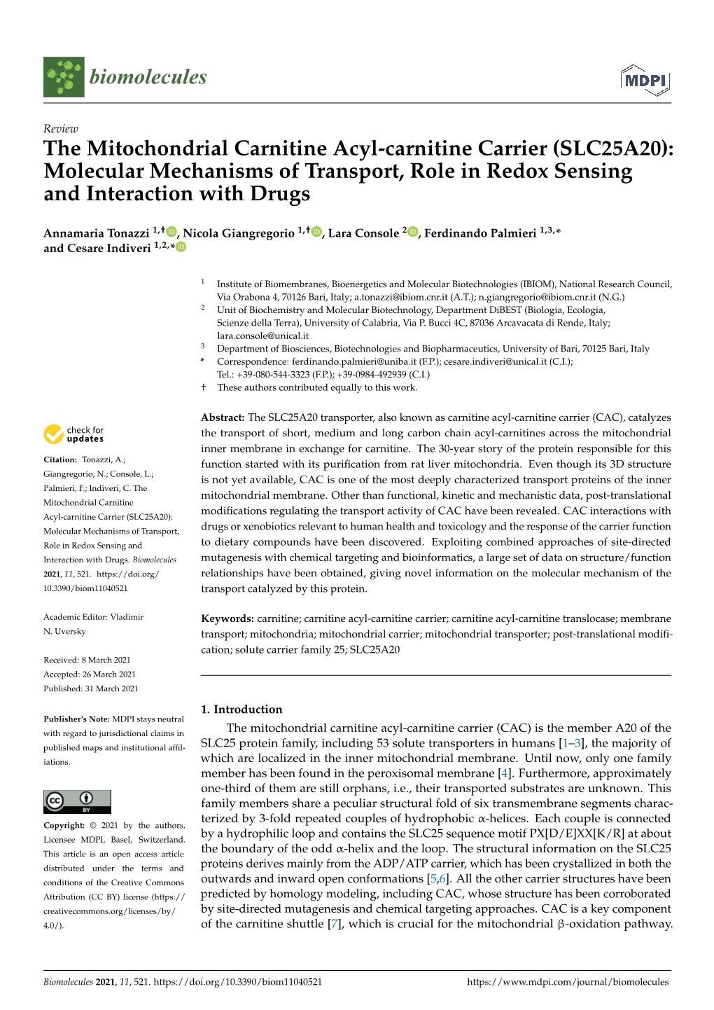 SLC25A20): Molecular Mechanisms of Transport, Role in Redox Sensing and Interaction with Drugs