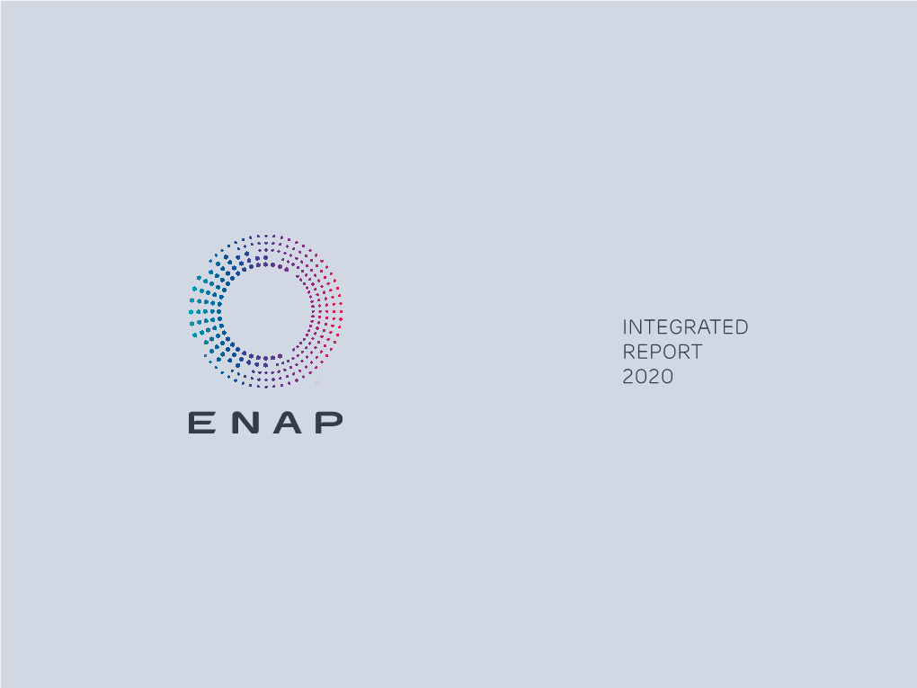 Integrated Report 2020 - Enap