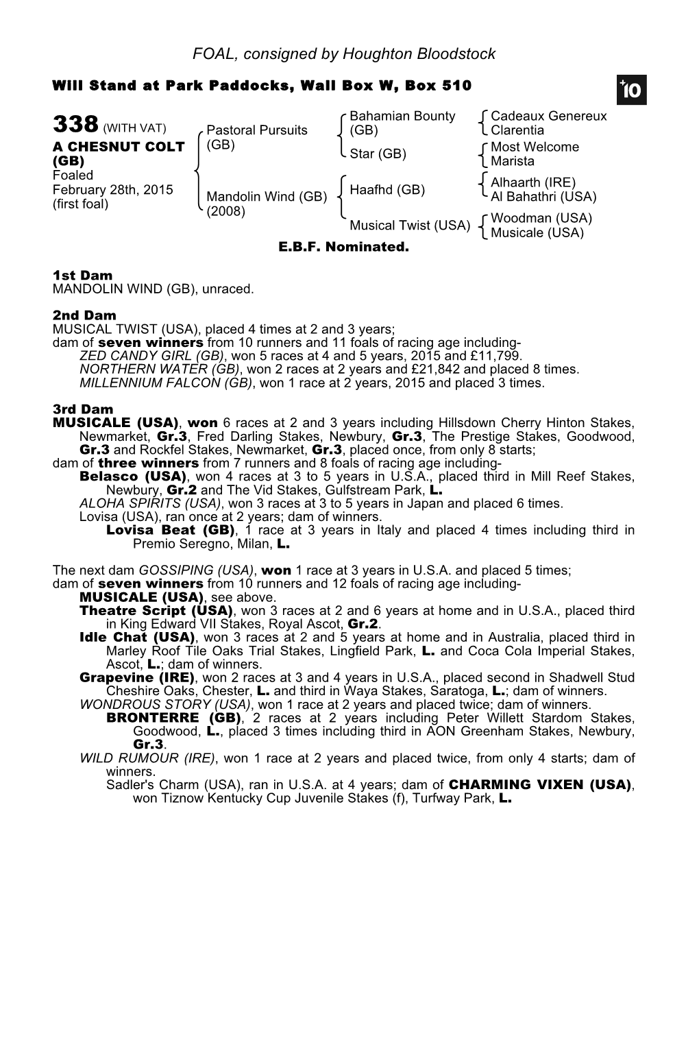 FOAL, Consigned by Houghton Bloodstock