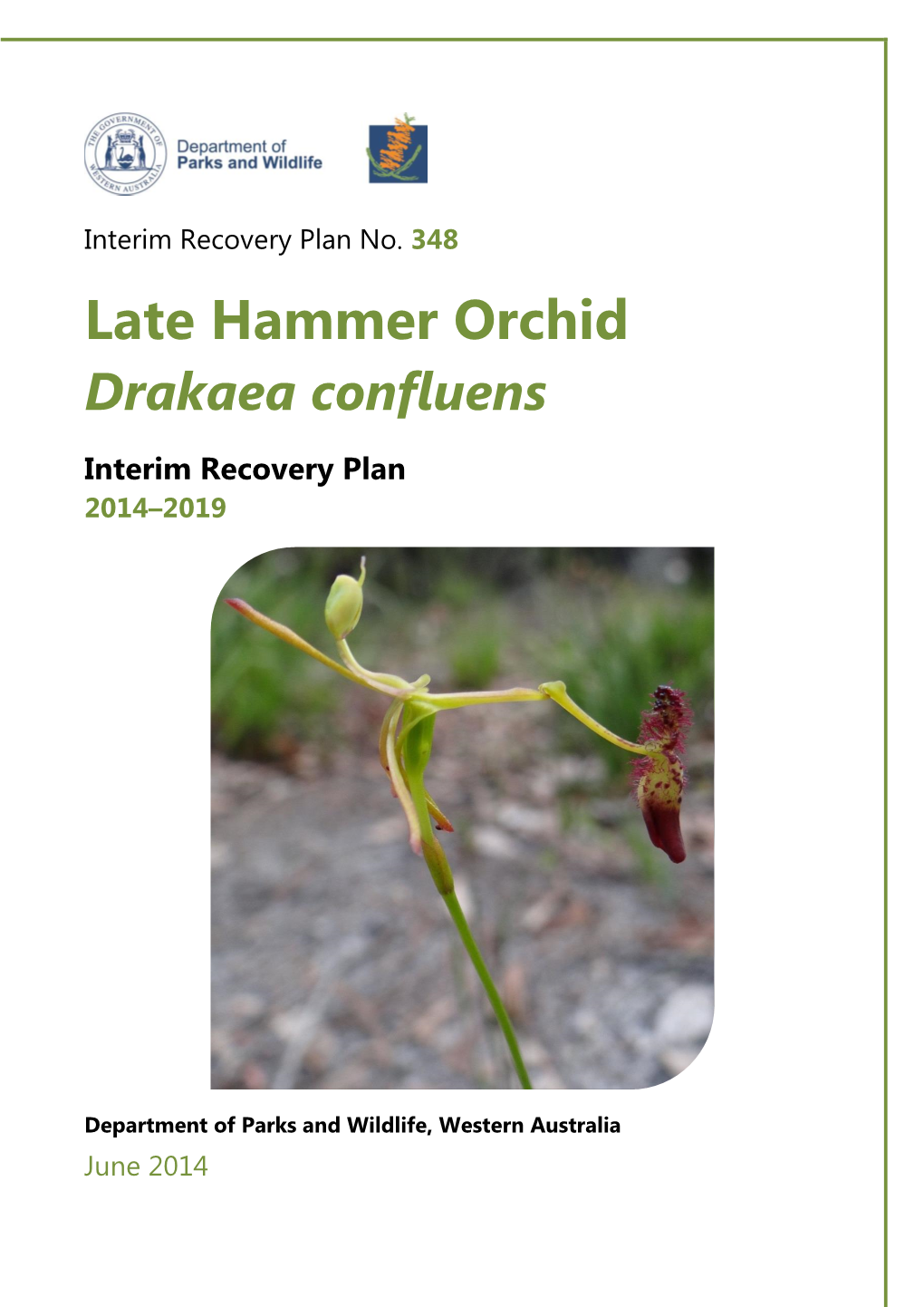 Drakaea Confluens