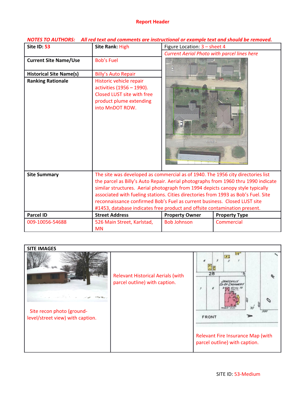 NOTES to AUTHORS: All Red Text and Comments Are Instructional Or Example Text and Should