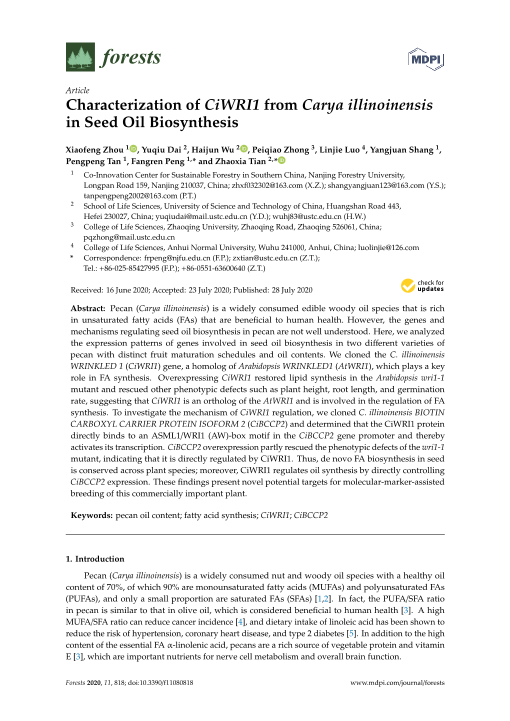 Characterization of Ciwri1 from Carya Illinoinensis in Seed Oil Biosynthesis
