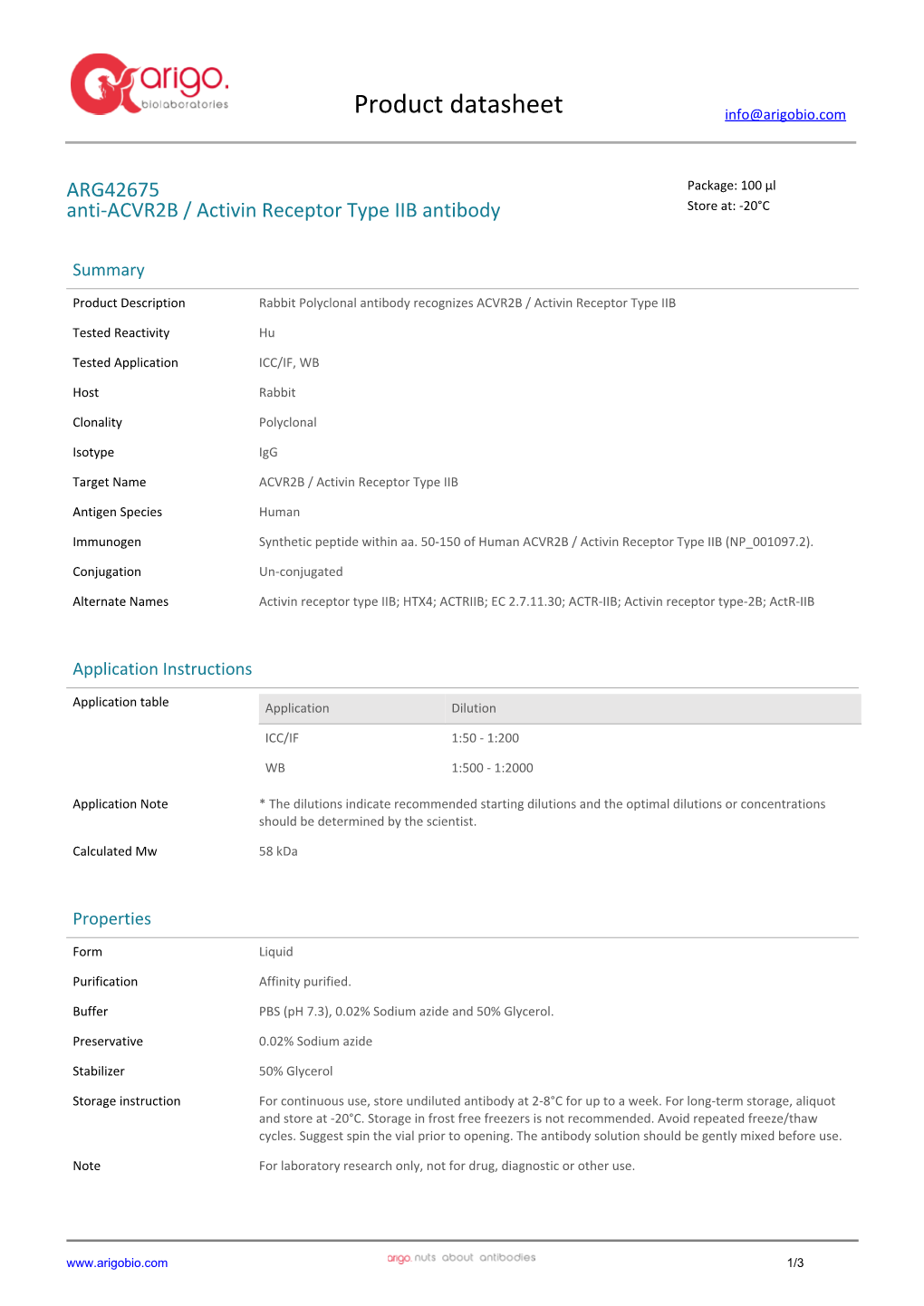 Anti-ACVR2B / Activin Receptor Type IIB Antibody (ARG42675)