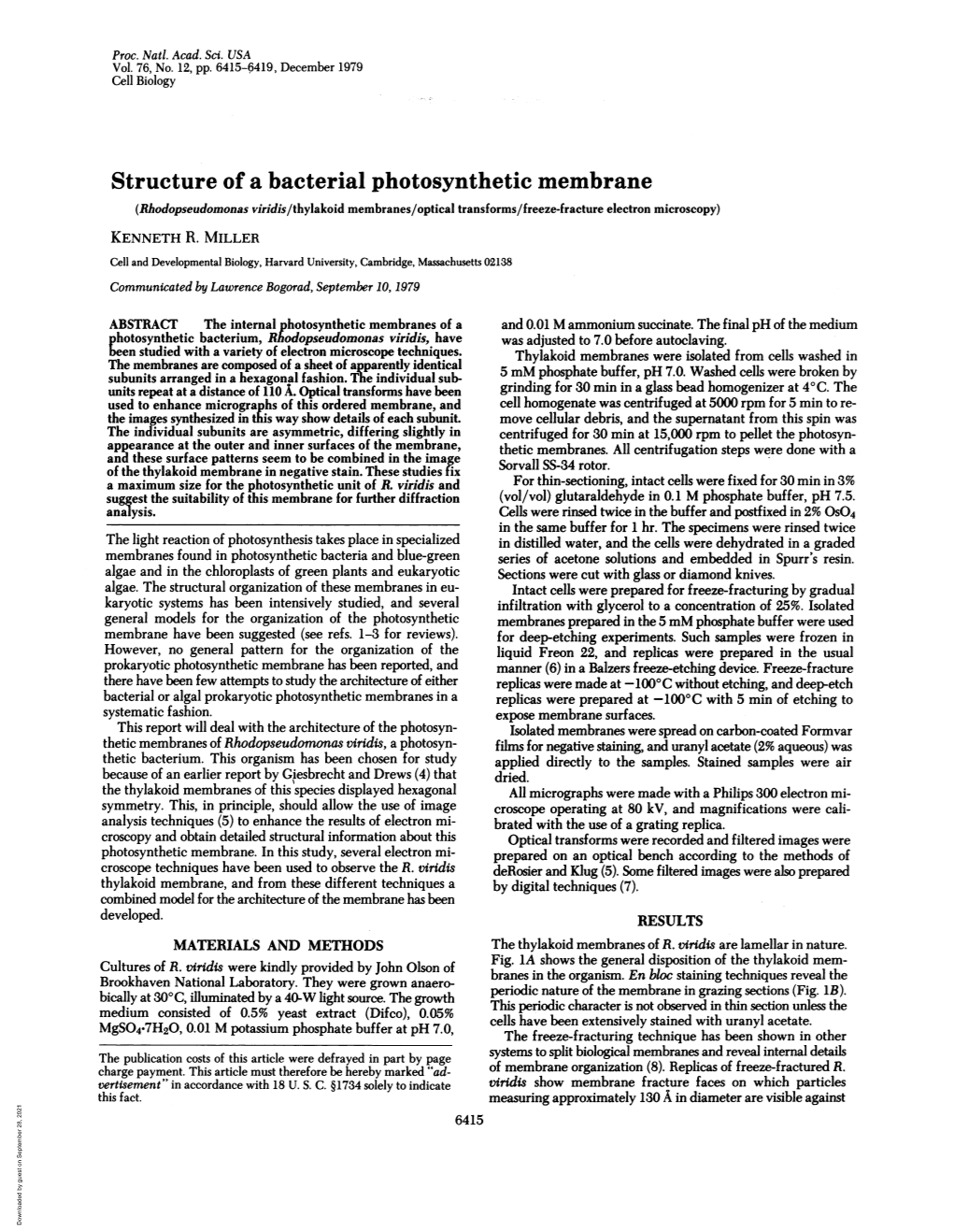 Structure of a Bacterial Photosynthetic Membrane (Rhodopseudomonas Viridis/Thylakoid Membranes/Optical Transforms/Freeze-Fracture Electron Microscopy) KENNETH R