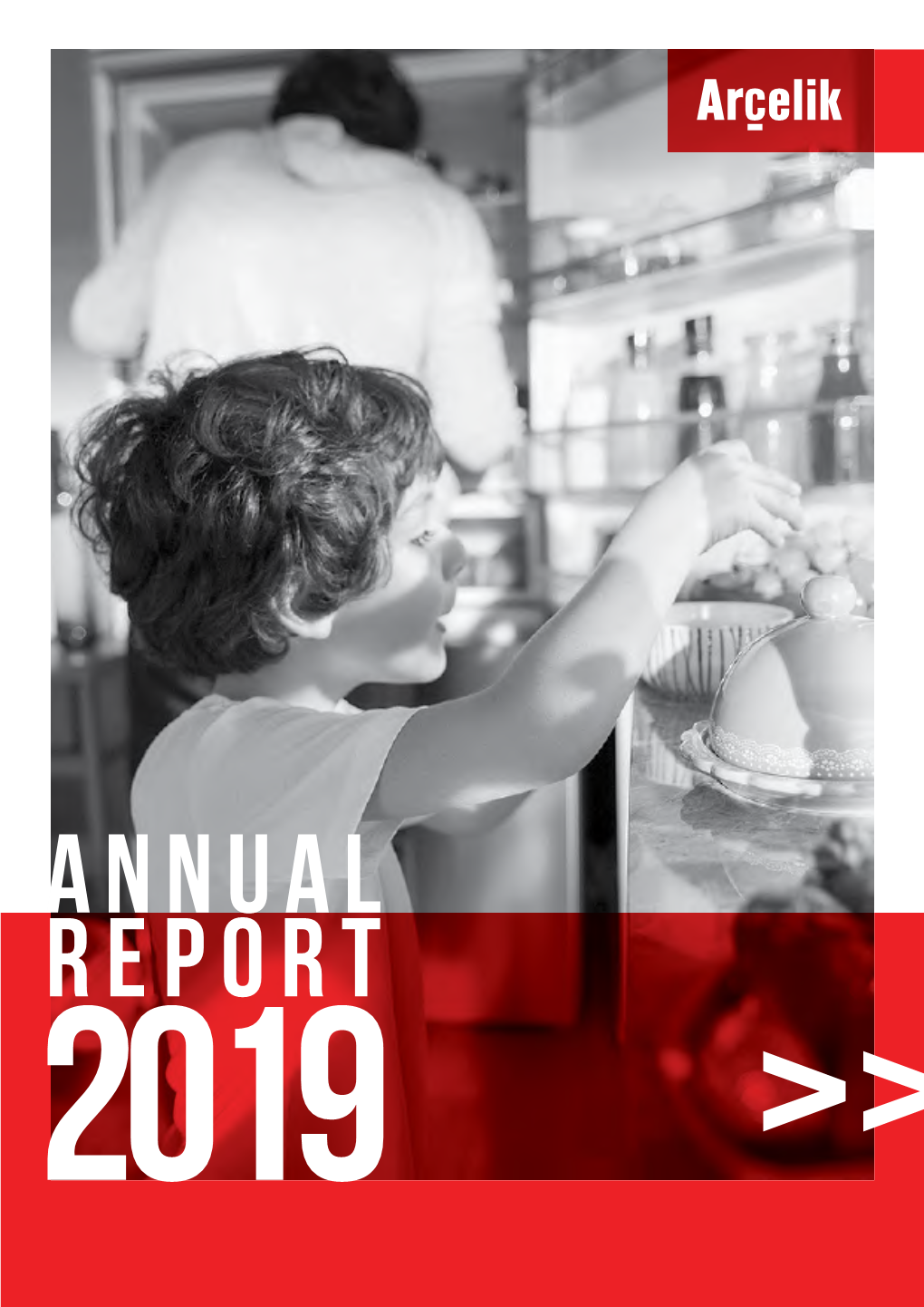 Please See Our 2019 ANNUAL REPORT