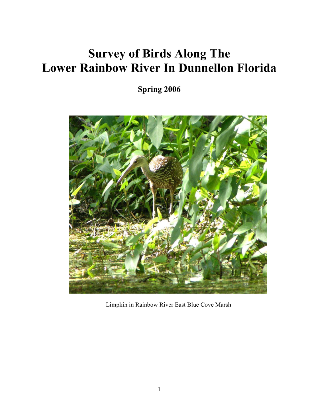 Survey of Birds on the Lower Rainbow River in Dunnellon Florida