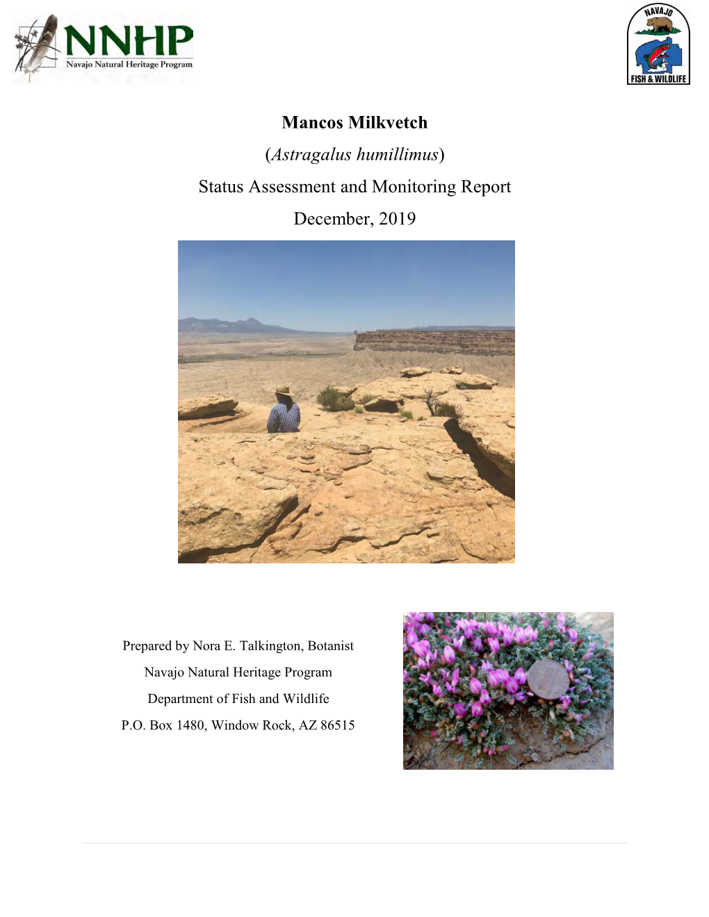 Mancos Milkvetch (Astragalus Humillimus) Status Assessment and Monitoring Report December, 2019